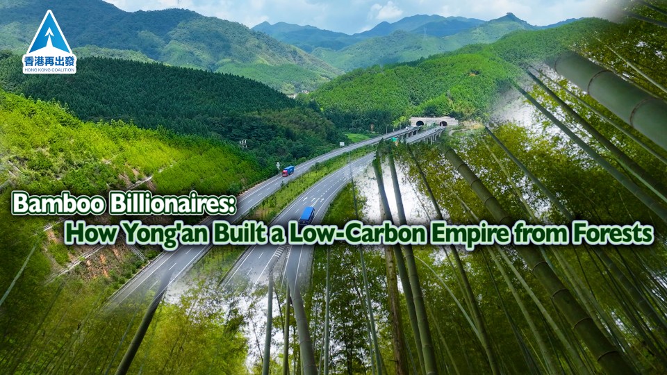Yong'an Bamboo: Growing a Green Fortune