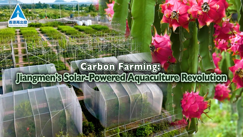 Carbon Farming: Jiangmen's Science Supercharges Crops