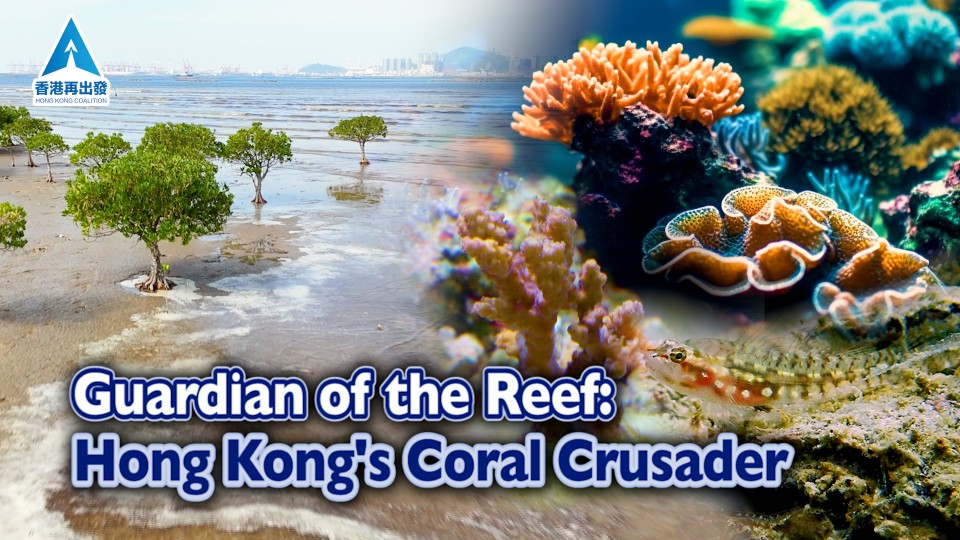 Guardian of the Reef: Hong Kong's Coral Crusader